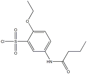 5-butanamido-2-ethoxybenzene-1-sulfonyl chloride