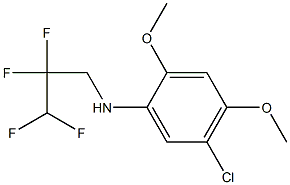 5-chloro-2,4-dimethoxy-N-(2,2,3,3-tetrafluoropropyl)aniline,,结构式