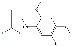 5-chloro-2,4-dimethoxy-N-(2,2,3,3-tetrafluoropropyl)aniline Structure