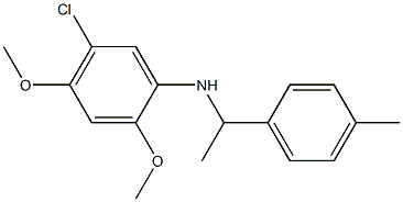 5-chloro-2,4-dimethoxy-N-[1-(4-methylphenyl)ethyl]aniline Struktur