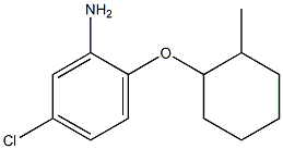 5-chloro-2-[(2-methylcyclohexyl)oxy]aniline,,结构式