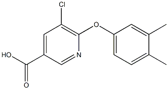 5-chloro-6-(3,4-dimethylphenoxy)pyridine-3-carboxylic acid 结构式