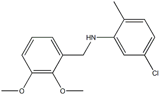 5-chloro-N-[(2,3-dimethoxyphenyl)methyl]-2-methylaniline 结构式