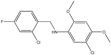 5-chloro-N-[(2-chloro-4-fluorophenyl)methyl]-2,4-dimethoxyaniline 化学構造式