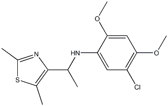 5-chloro-N-[1-(2,5-dimethyl-1,3-thiazol-4-yl)ethyl]-2,4-dimethoxyaniline,,结构式