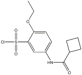 5-cyclobutaneamido-2-ethoxybenzene-1-sulfonyl chloride