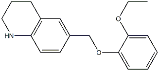 6-(2-ethoxyphenoxymethyl)-1,2,3,4-tetrahydroquinoline Structure