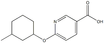 6-[(3-methylcyclohexyl)oxy]pyridine-3-carboxylic acid Struktur