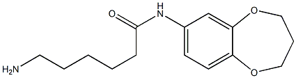 6-amino-N-3,4-dihydro-2H-1,5-benzodioxepin-7-ylhexanamide 结构式