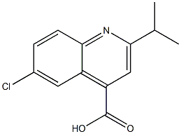 6-chloro-2-(propan-2-yl)quinoline-4-carboxylic acid Structure