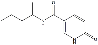 6-oxo-N-(pentan-2-yl)-1,6-dihydropyridine-3-carboxamide|