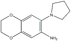 7-(pyrrolidin-1-yl)-2,3-dihydro-1,4-benzodioxin-6-amine