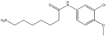 7-amino-N-(3-chloro-4-methoxyphenyl)heptanamide 化学構造式