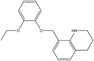 8-(2-ethoxyphenoxymethyl)-1,2,3,4-tetrahydroquinoline 化学構造式