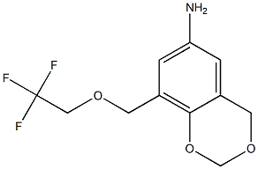 8-[(2,2,2-trifluoroethoxy)methyl]-2,4-dihydro-1,3-benzodioxin-6-amine|