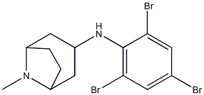8-methyl-N-(2,4,6-tribromophenyl)-8-azabicyclo[3.2.1]octan-3-amine|
