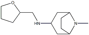 8-methyl-N-(oxolan-2-ylmethyl)-8-azabicyclo[3.2.1]octan-3-amine 结构式