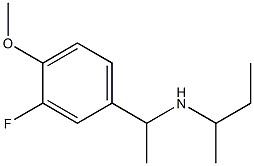 butan-2-yl[1-(3-fluoro-4-methoxyphenyl)ethyl]amine Structure