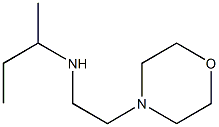 butan-2-yl[2-(morpholin-4-yl)ethyl]amine