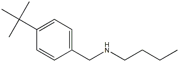 butyl[(4-tert-butylphenyl)methyl]amine,,结构式