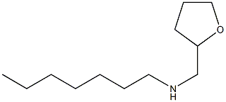 heptyl(oxolan-2-ylmethyl)amine|