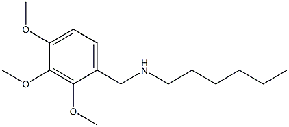 hexyl[(2,3,4-trimethoxyphenyl)methyl]amine Struktur
