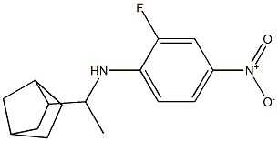 N-(1-{bicyclo[2.2.1]heptan-2-yl}ethyl)-2-fluoro-4-nitroaniline,,结构式