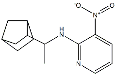 N-(1-{bicyclo[2.2.1]heptan-2-yl}ethyl)-3-nitropyridin-2-amine Structure