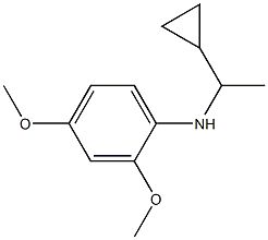 N-(1-cyclopropylethyl)-2,4-dimethoxyaniline Struktur