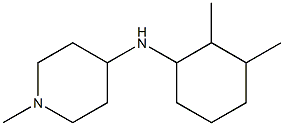 N-(2,3-dimethylcyclohexyl)-1-methylpiperidin-4-amine Structure