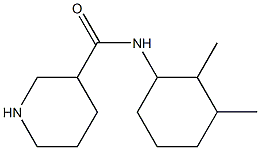 N-(2,3-dimethylcyclohexyl)piperidine-3-carboxamide