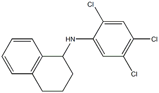 N-(2,4,5-trichlorophenyl)-1,2,3,4-tetrahydronaphthalen-1-amine|