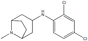N-(2,4-dichlorophenyl)-8-methyl-8-azabicyclo[3.2.1]octan-3-amine Struktur