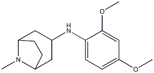 N-(2,4-dimethoxyphenyl)-8-methyl-8-azabicyclo[3.2.1]octan-3-amine,,结构式