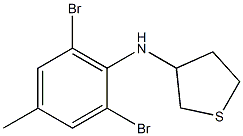 N-(2,6-dibromo-4-methylphenyl)thiolan-3-amine 化学構造式