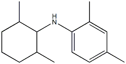 N-(2,6-dimethylcyclohexyl)-2,4-dimethylaniline Struktur