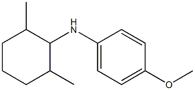 N-(2,6-dimethylcyclohexyl)-4-methoxyaniline 结构式