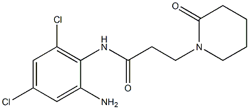 N-(2-amino-4,6-dichlorophenyl)-3-(2-oxopiperidin-1-yl)propanamide Structure