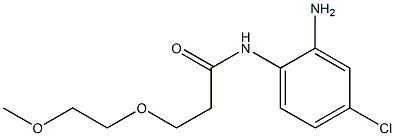 N-(2-amino-4-chlorophenyl)-3-(2-methoxyethoxy)propanamide Structure