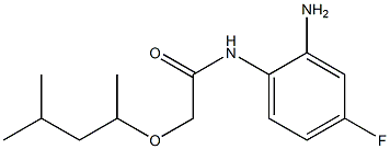 N-(2-amino-4-fluorophenyl)-2-[(4-methylpentan-2-yl)oxy]acetamide|
