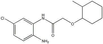 N-(2-amino-5-chlorophenyl)-2-[(2-methylcyclohexyl)oxy]acetamide Structure