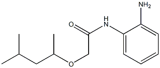 N-(2-aminophenyl)-2-[(4-methylpentan-2-yl)oxy]acetamide 化学構造式