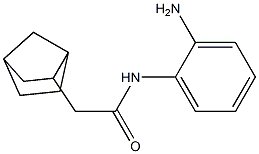 N-(2-aminophenyl)-2-{bicyclo[2.2.1]heptan-2-yl}acetamide Structure