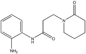 N-(2-aminophenyl)-3-(2-oxopiperidin-1-yl)propanamide 化学構造式