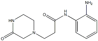 N-(2-aminophenyl)-3-(3-oxopiperazin-1-yl)propanamide 化学構造式