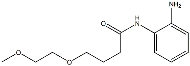 N-(2-aminophenyl)-4-(2-methoxyethoxy)butanamide Structure