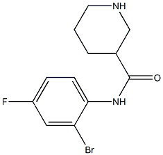 N-(2-bromo-4-fluorophenyl)piperidine-3-carboxamide Structure