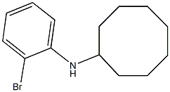 N-(2-bromophenyl)cyclooctanamine|