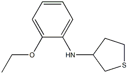 N-(2-ethoxyphenyl)thiolan-3-amine