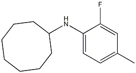 N-(2-fluoro-4-methylphenyl)cyclooctanamine Struktur